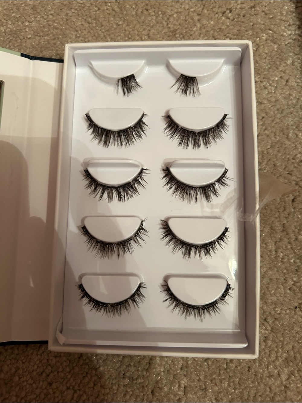 Flutterhabit bundle! - Picture 4 of 8